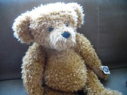 bear red_03